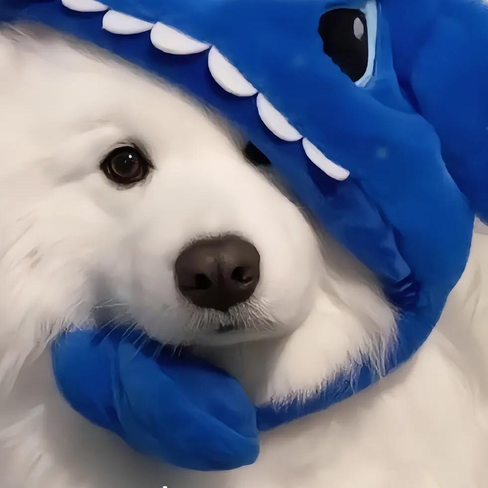 枫念秋