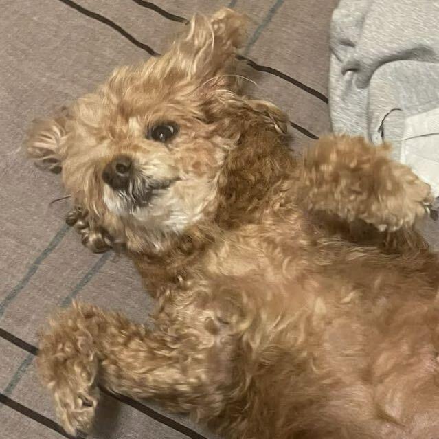 无敌幼儿园大王