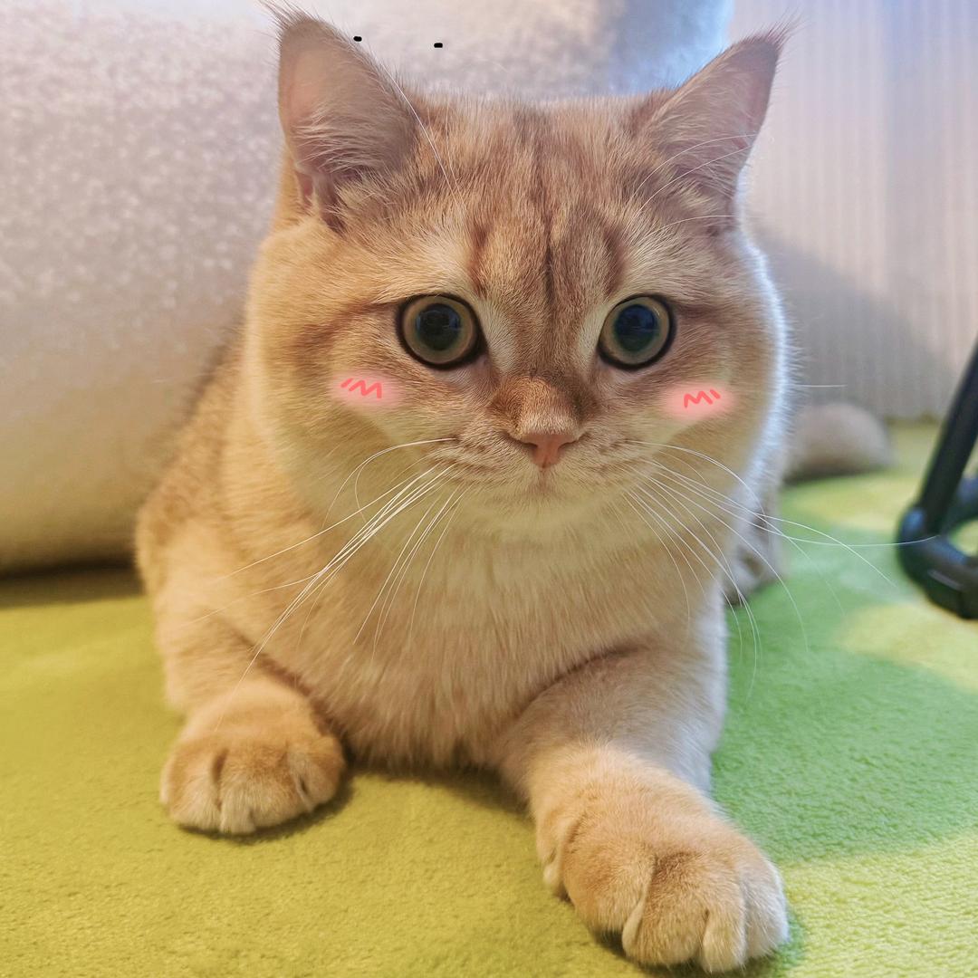 翠花和富贵