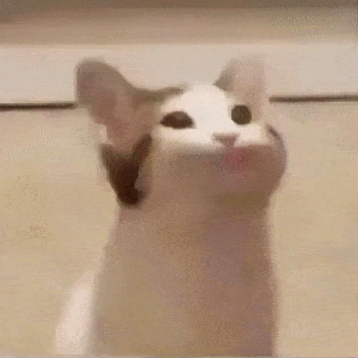 ✘议生跑路啰