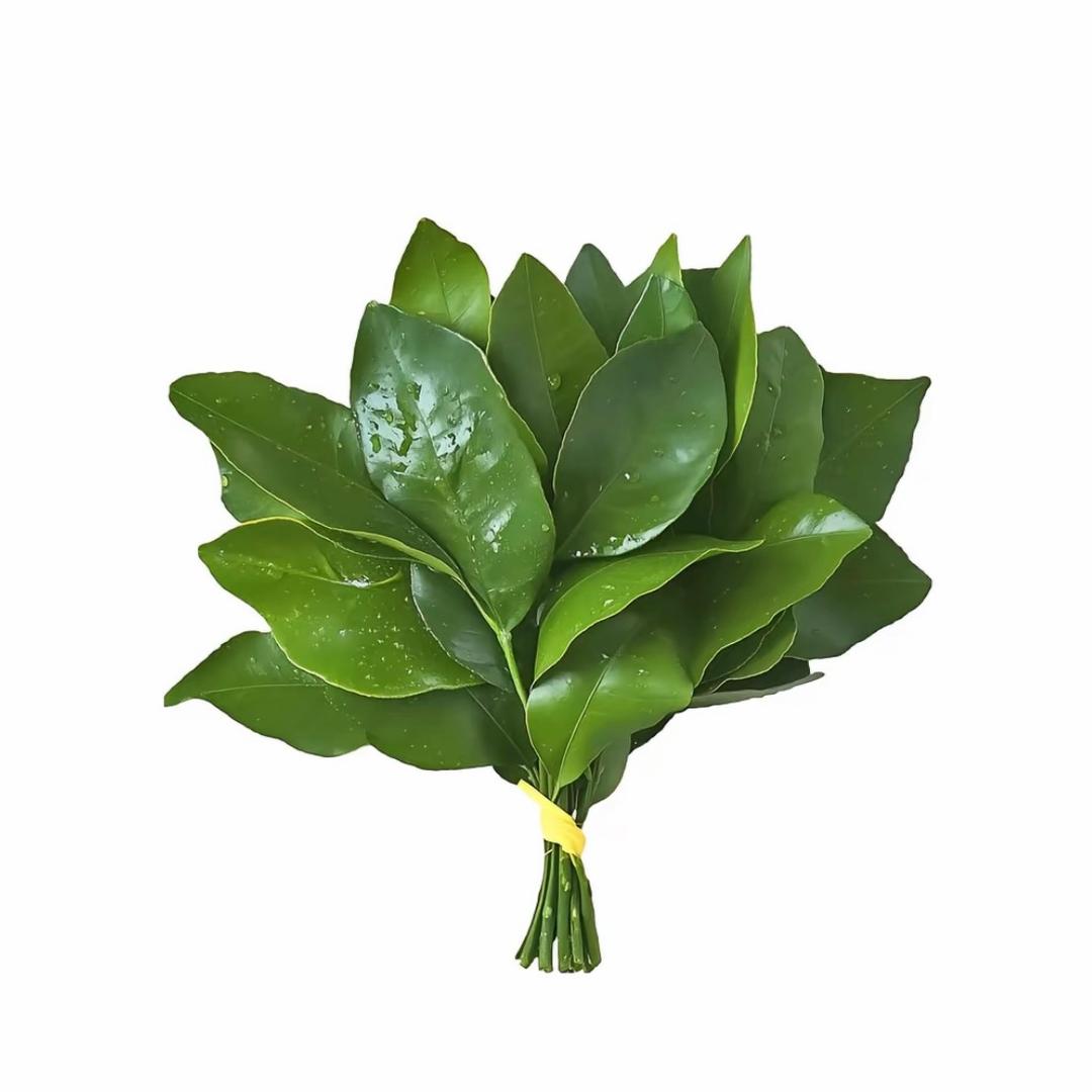 xue