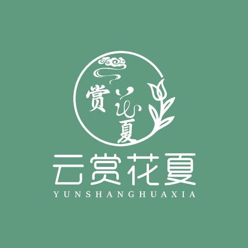 云赏花夏园艺