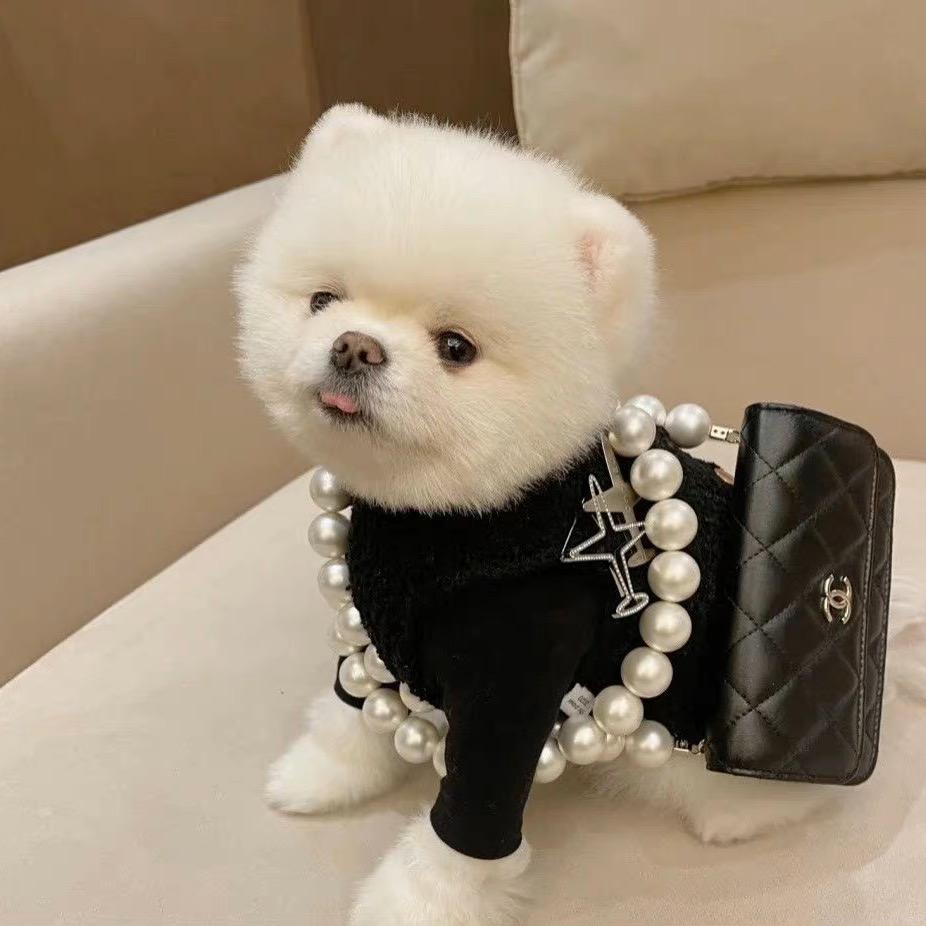毛豆优选