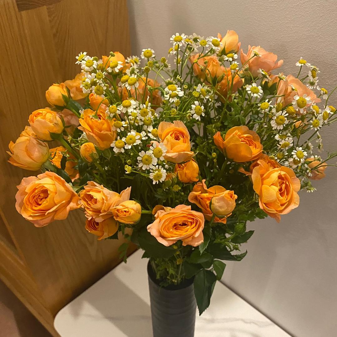 🌼🌼🌼渔鹭🌈🌈🌈