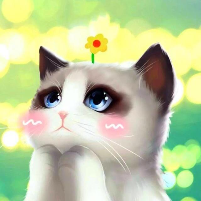 许长彦