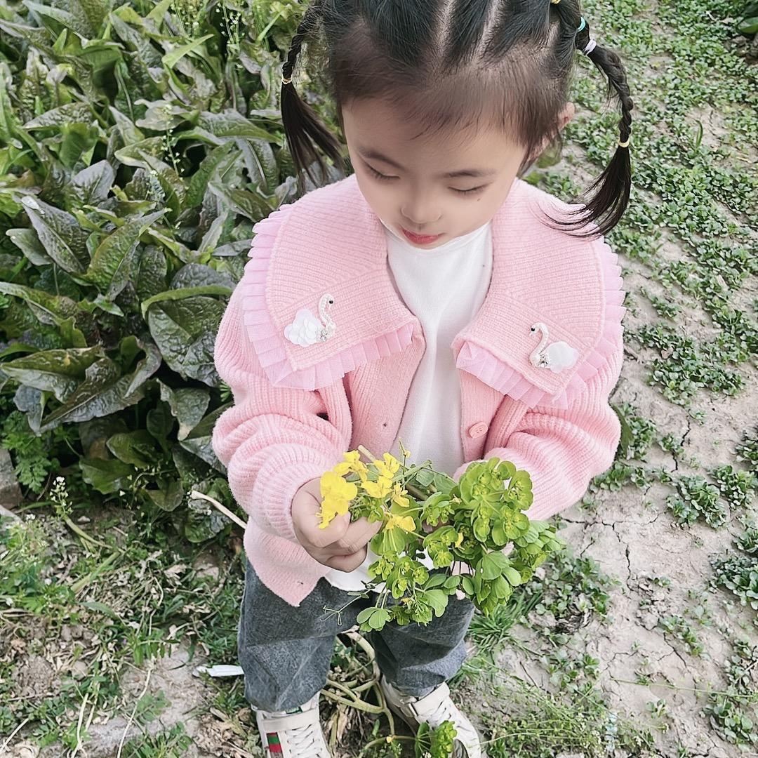 江苏大闸蟹（珠海仓储中心）批发零售