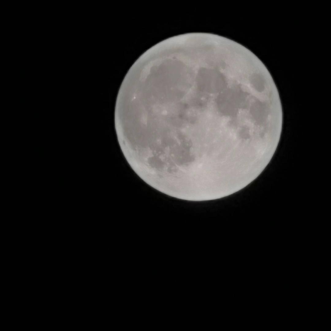 绿康肉业火锅食材超市