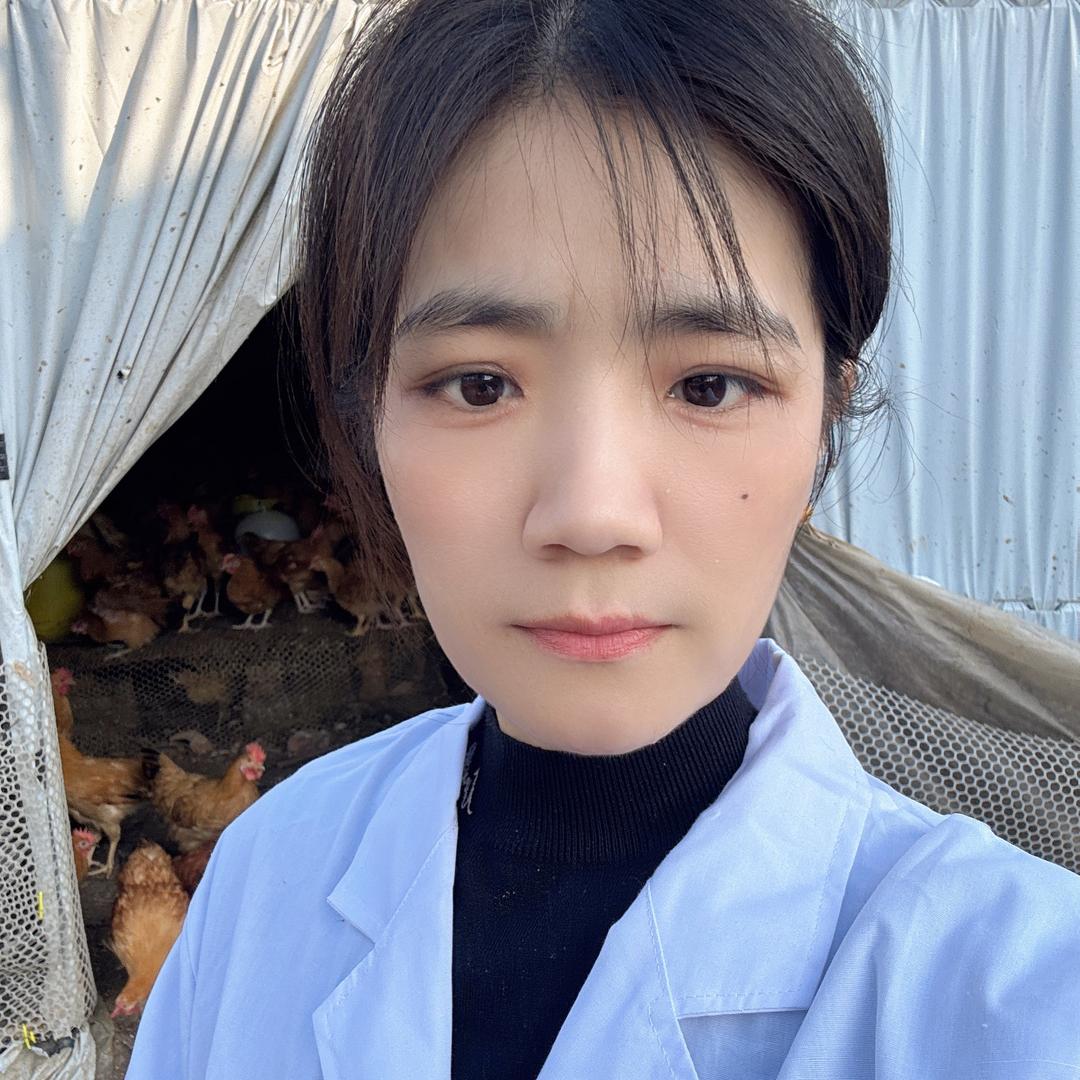 彩红养鸡技术指导