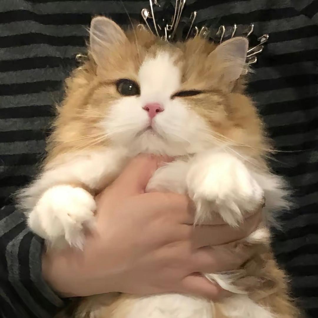 汤妹