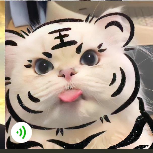 顺风顺水
