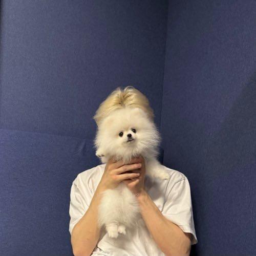 qq糖（三角洲）