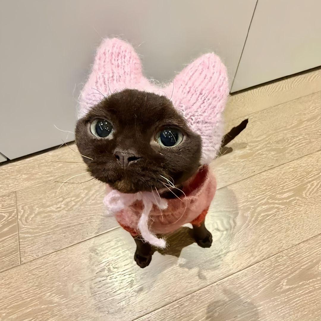 阿鸭