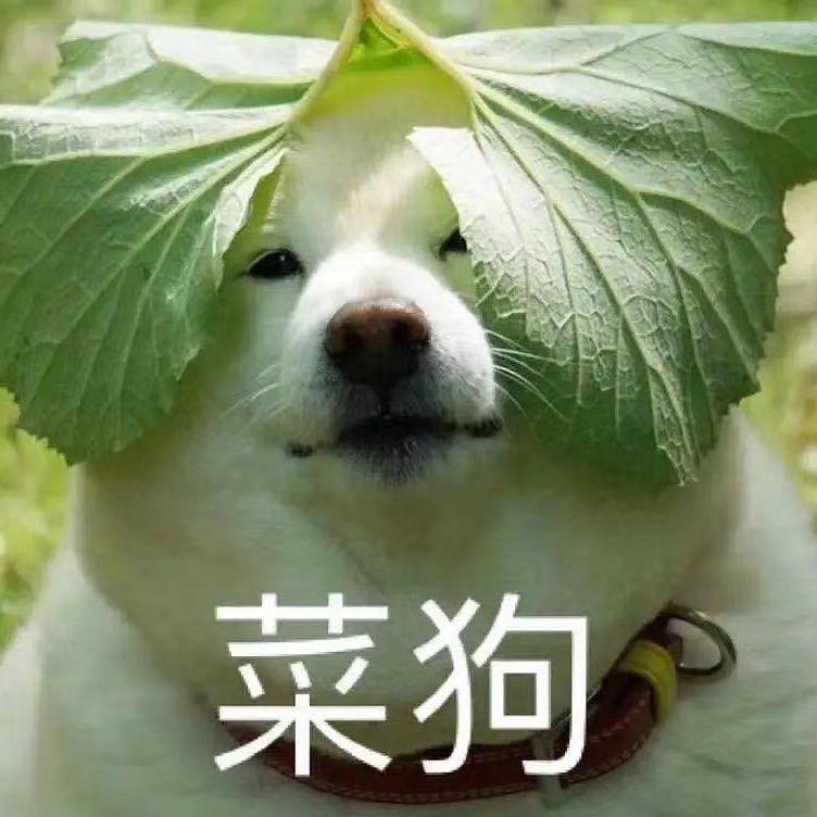 煎饼狗子🐶