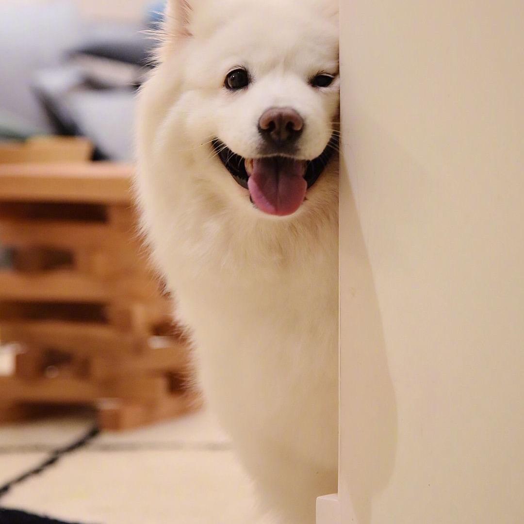世俗了