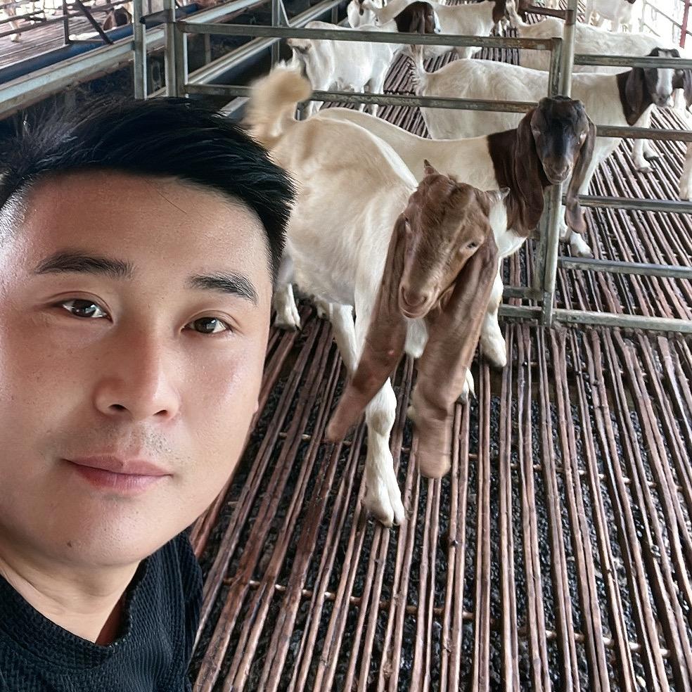 小吴种羊养殖基地