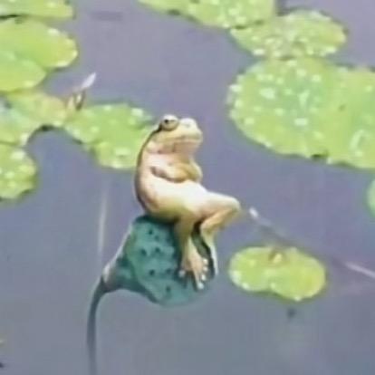 疯疯疯了吧（发疯饿瘦版）