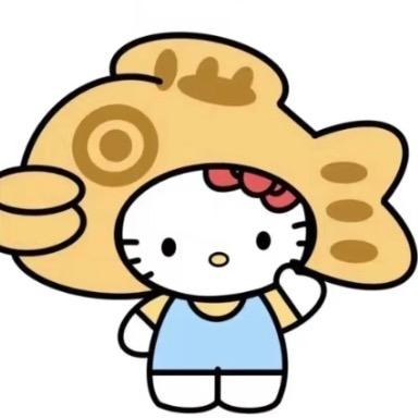 Kitty不说hello