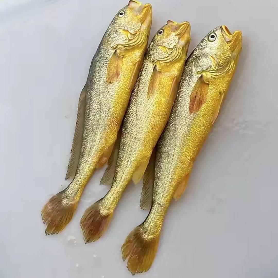 海晟源美食坊