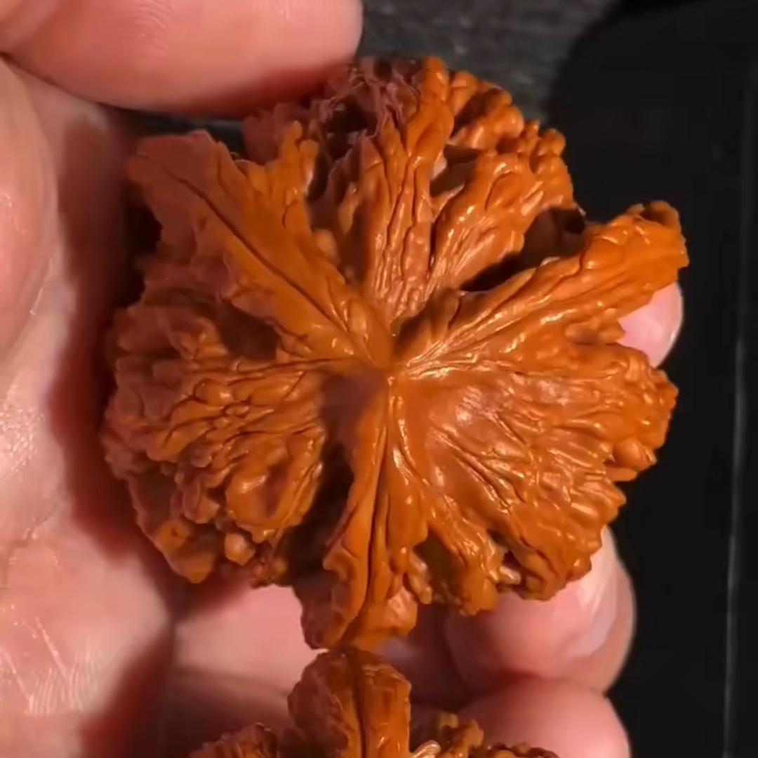 坤弟文玩甄品店