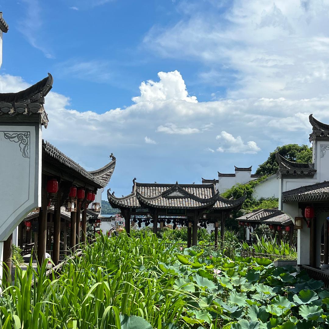 情非得已