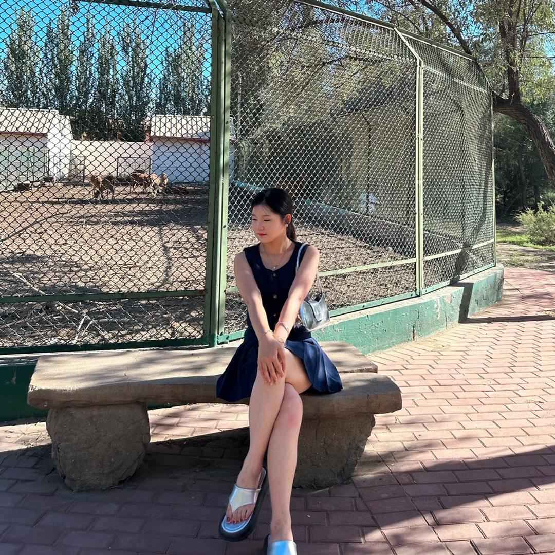 王屁屁屁屁屁🚗