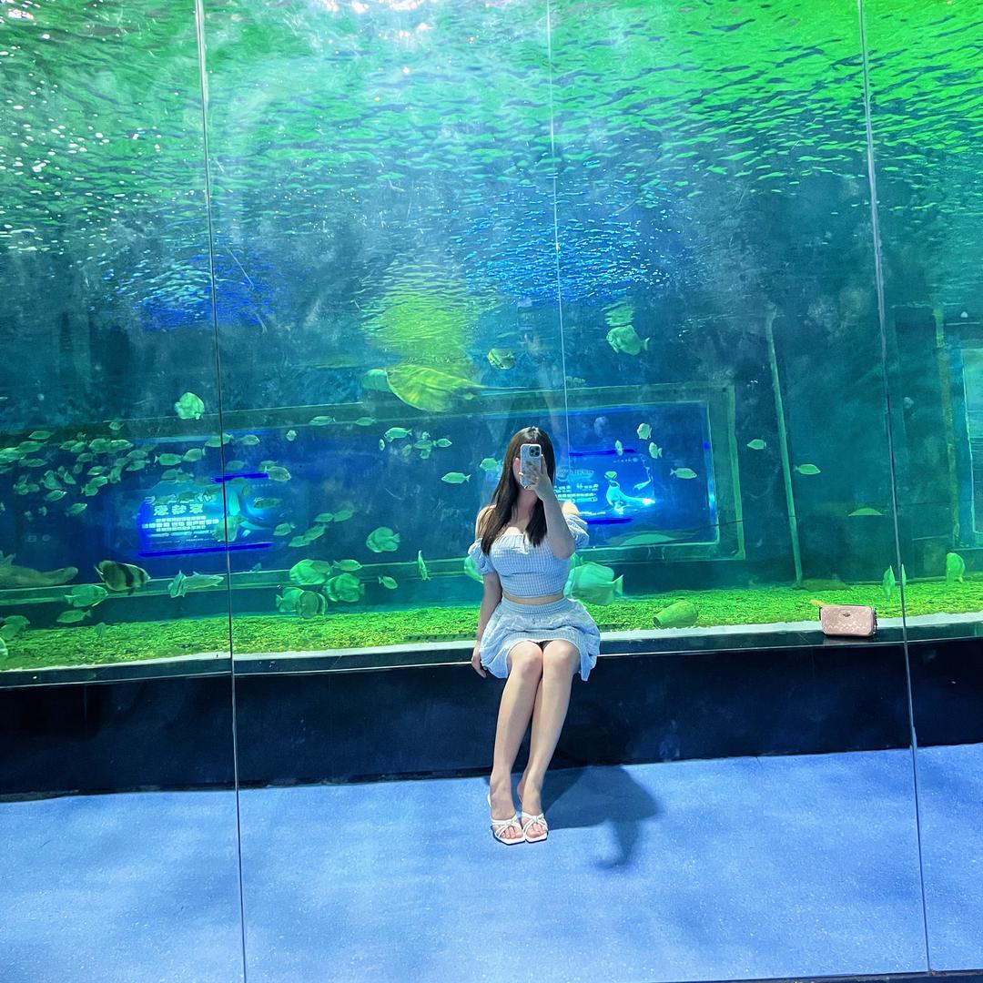 水鱼鱼