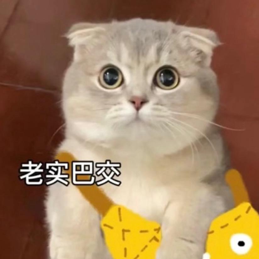 呆子～笨笨的