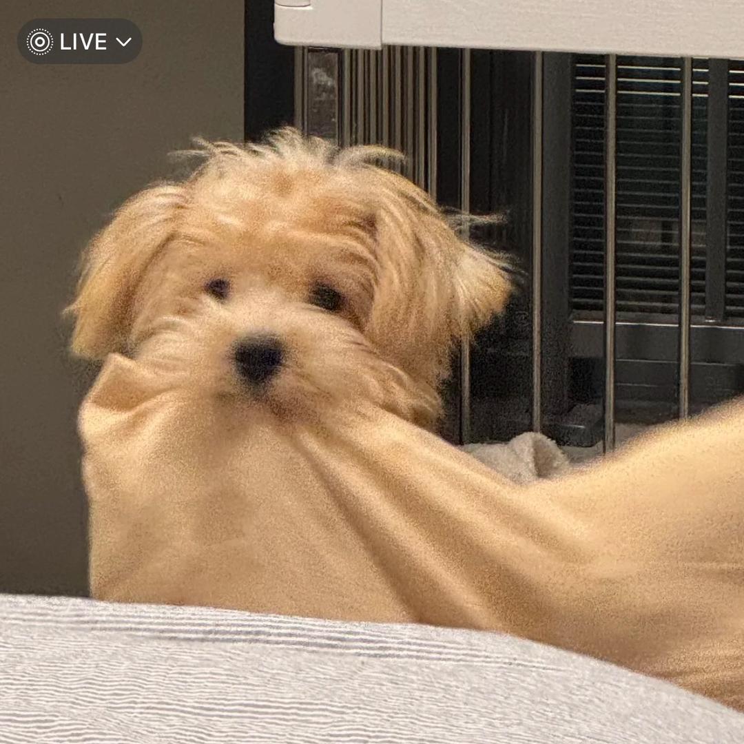 我是怡人