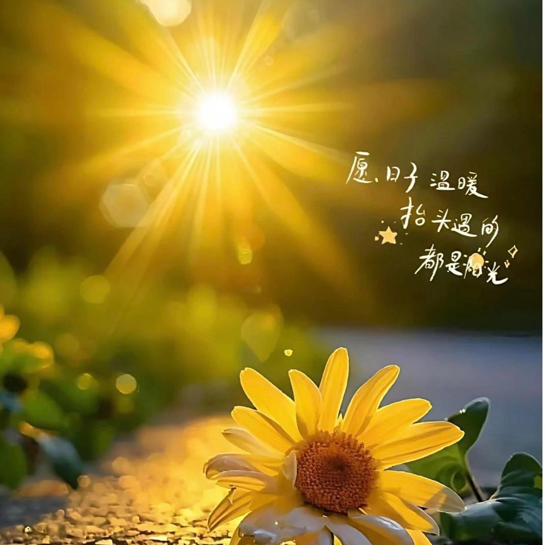@艾米