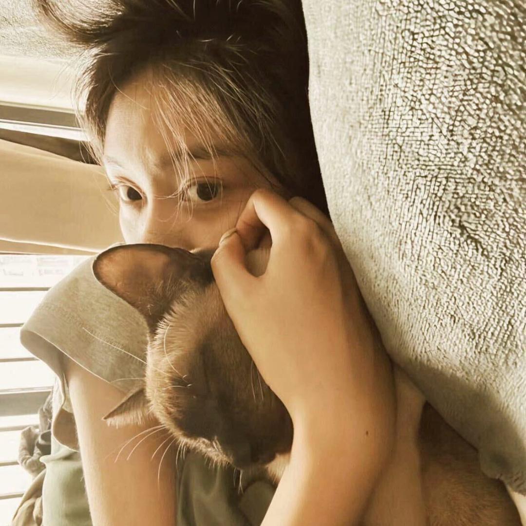 除了睡觉都很困