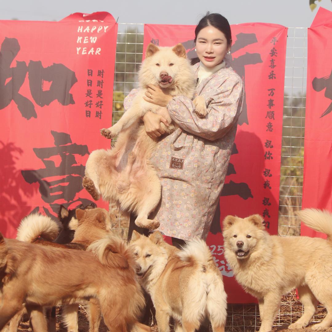 田园犬驿站（梅姐小号）