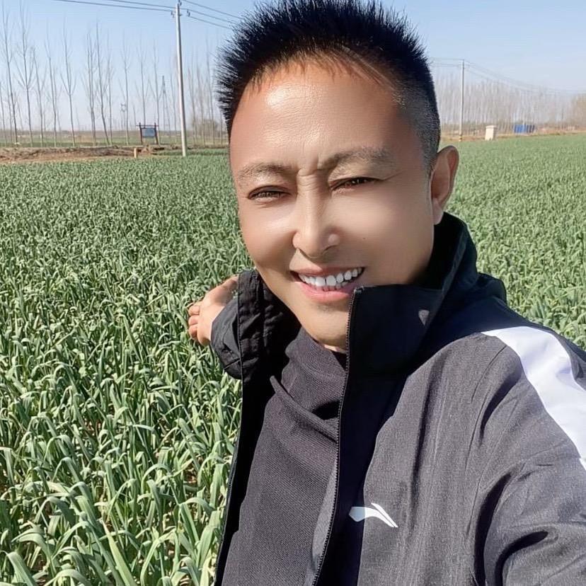 济南商河白桥大青稞蒜种（刘红星）