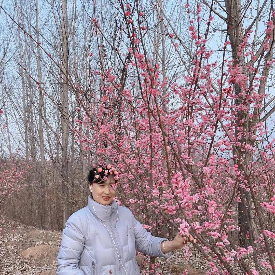 ，徐
