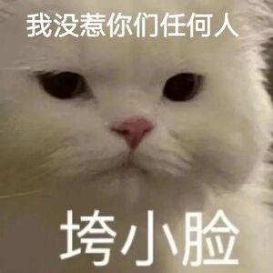 高兴起来哈