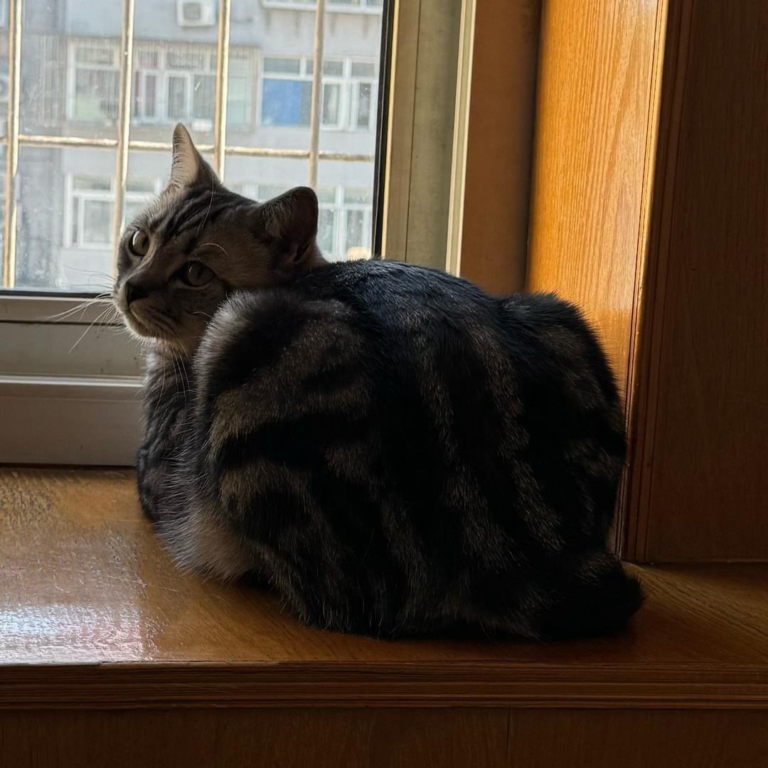 Xiu.