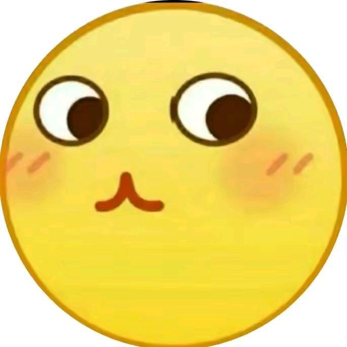 小王摇了摇头