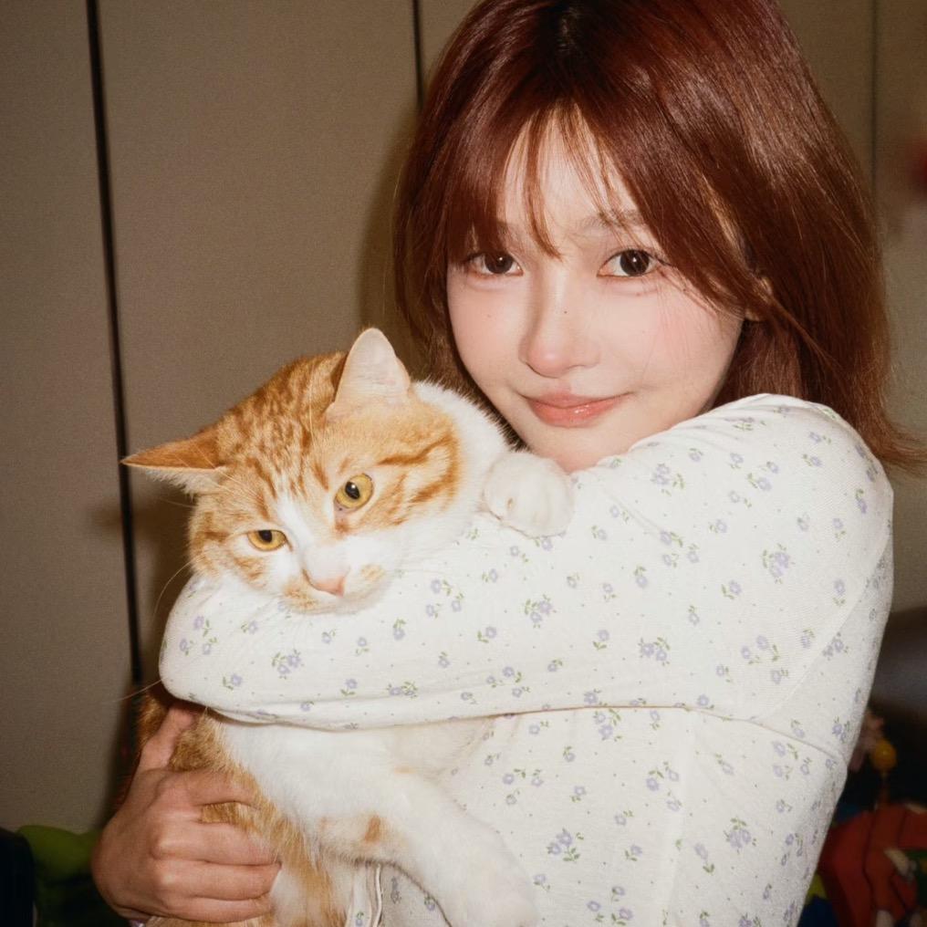 把那碗飯給我🥣