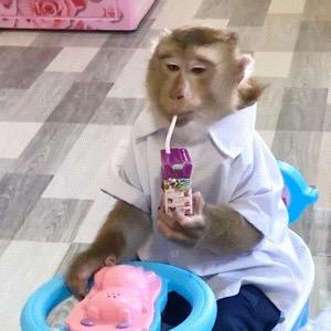 ☾⋆꯭᭄烛ึູ♡̶影ꦿོ࿐