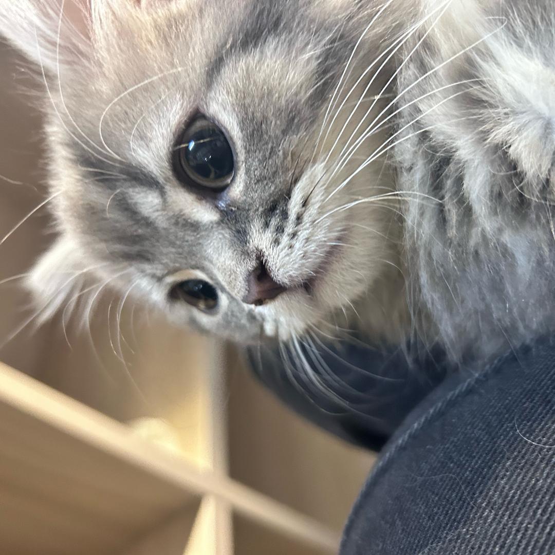 欣EM美可潮玩·儿童乐园·团建派对