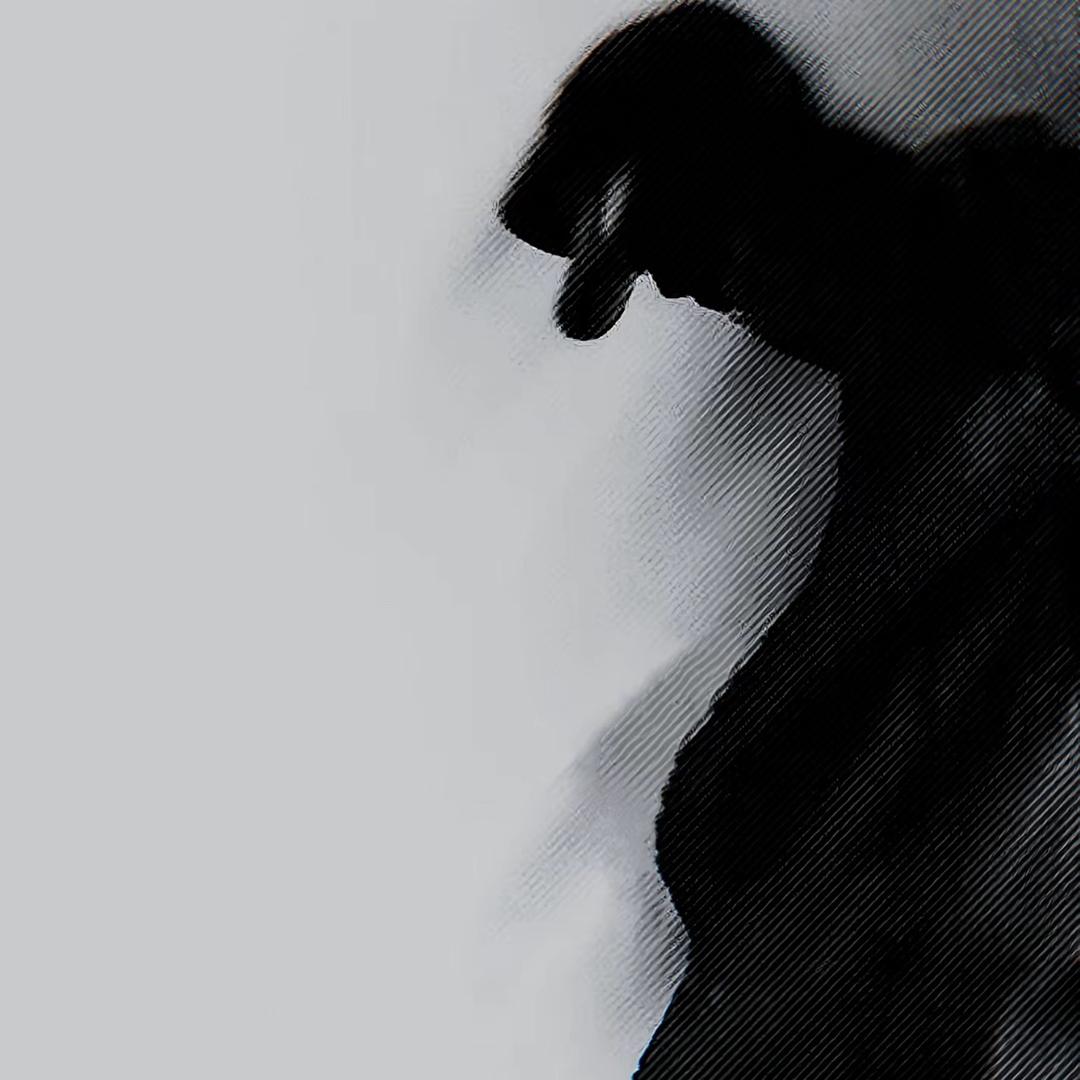 韩俊灿.