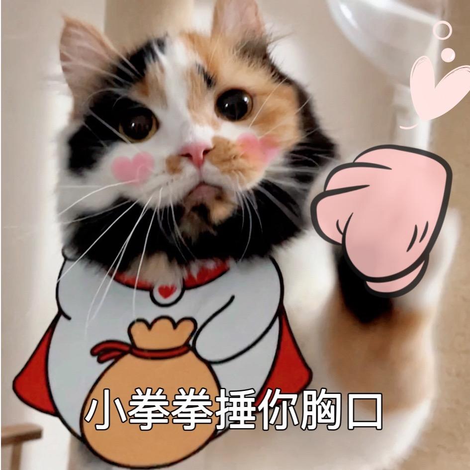阿逵是仙女🧚‍♀️