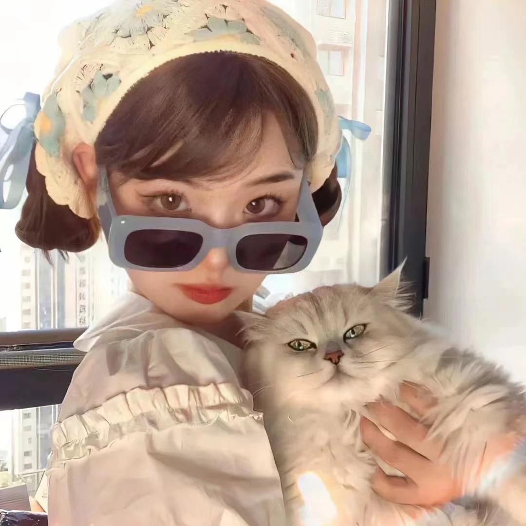 1猫的柒