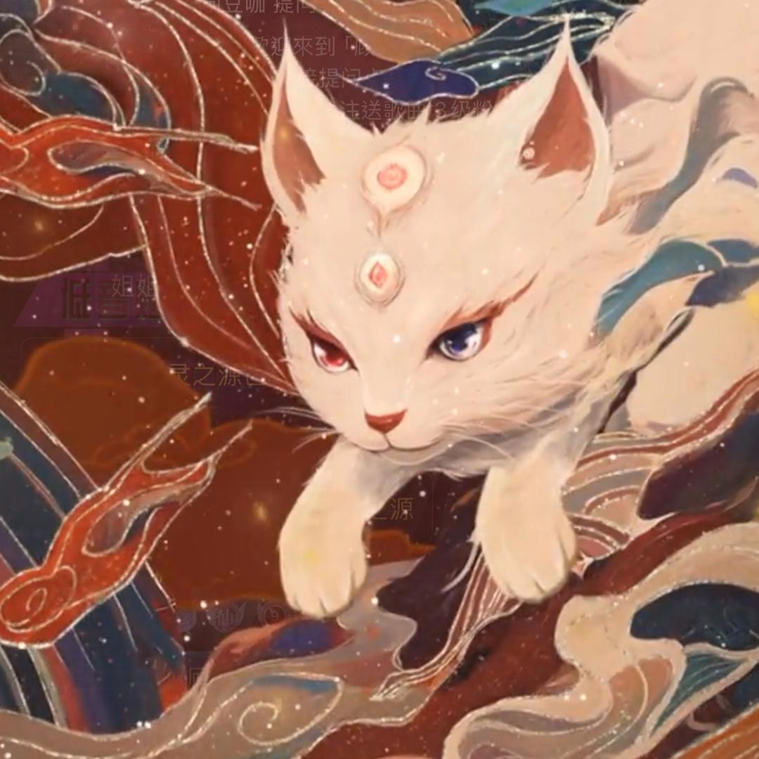 小鯊魚