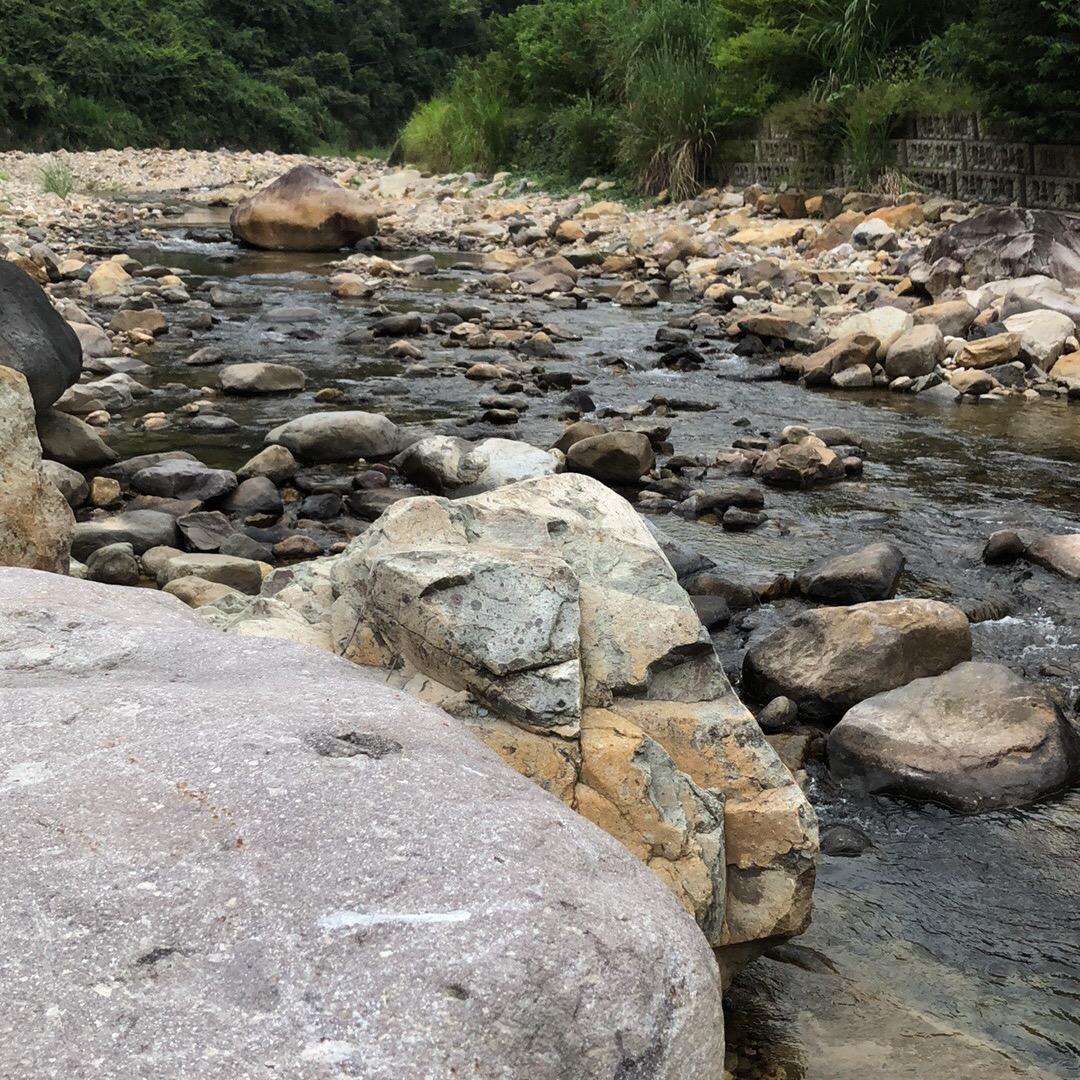特约评论员