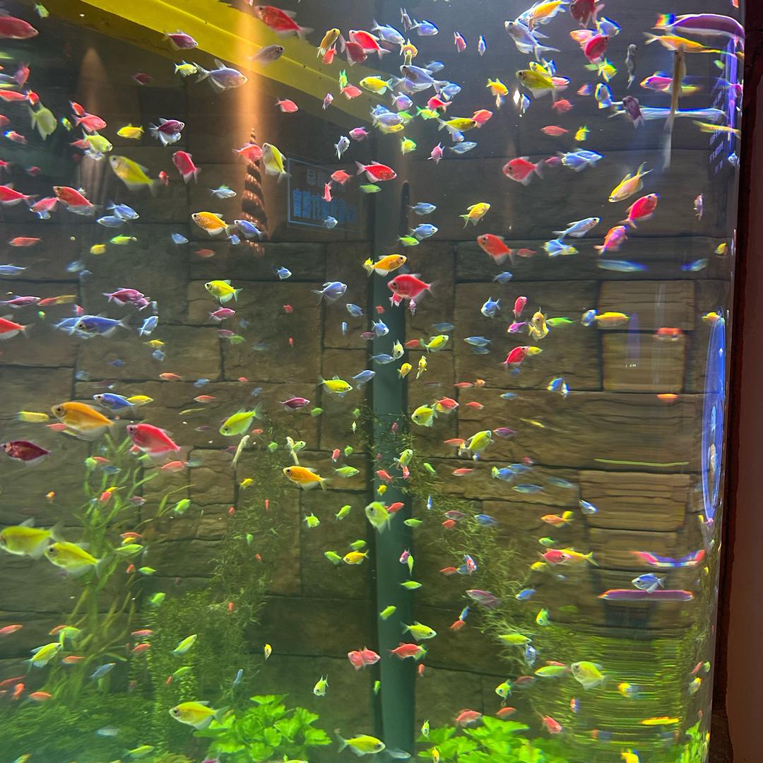 你是谁.