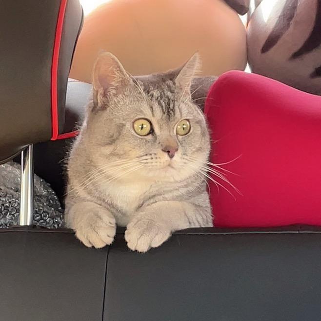 小乖呀