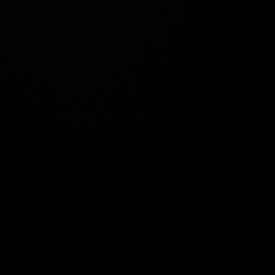 王大力