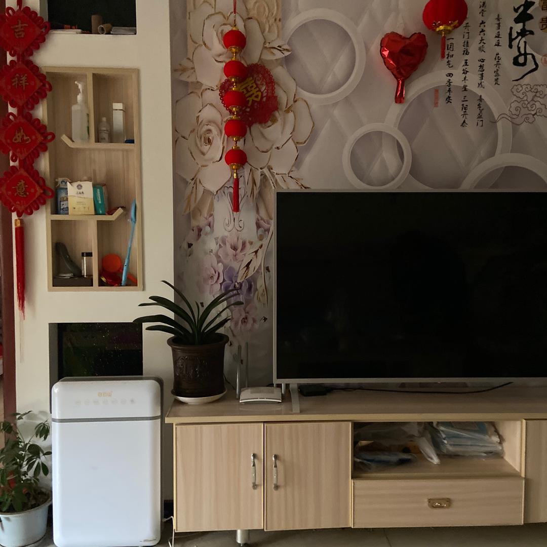 李占民