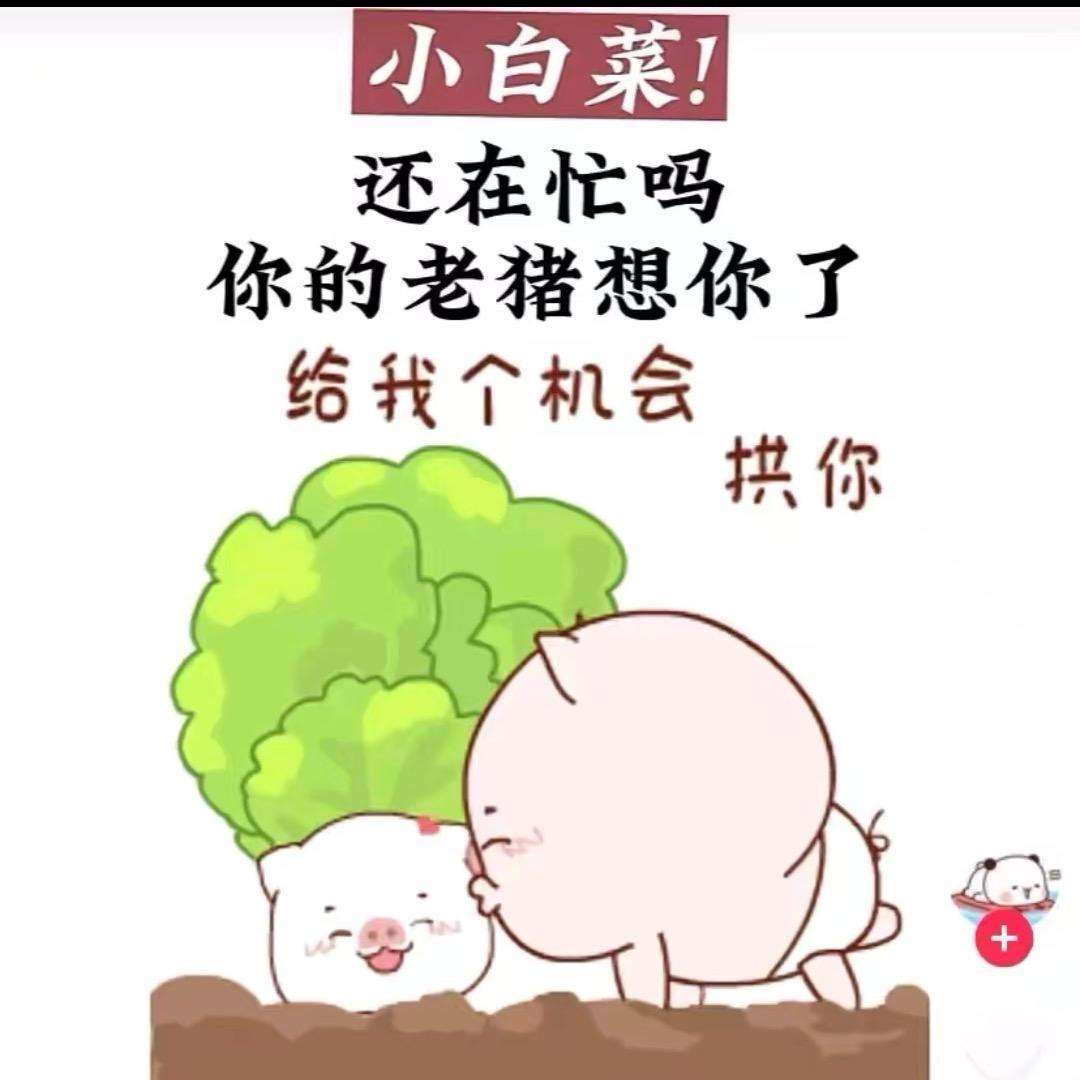 注销号倒计时5天
