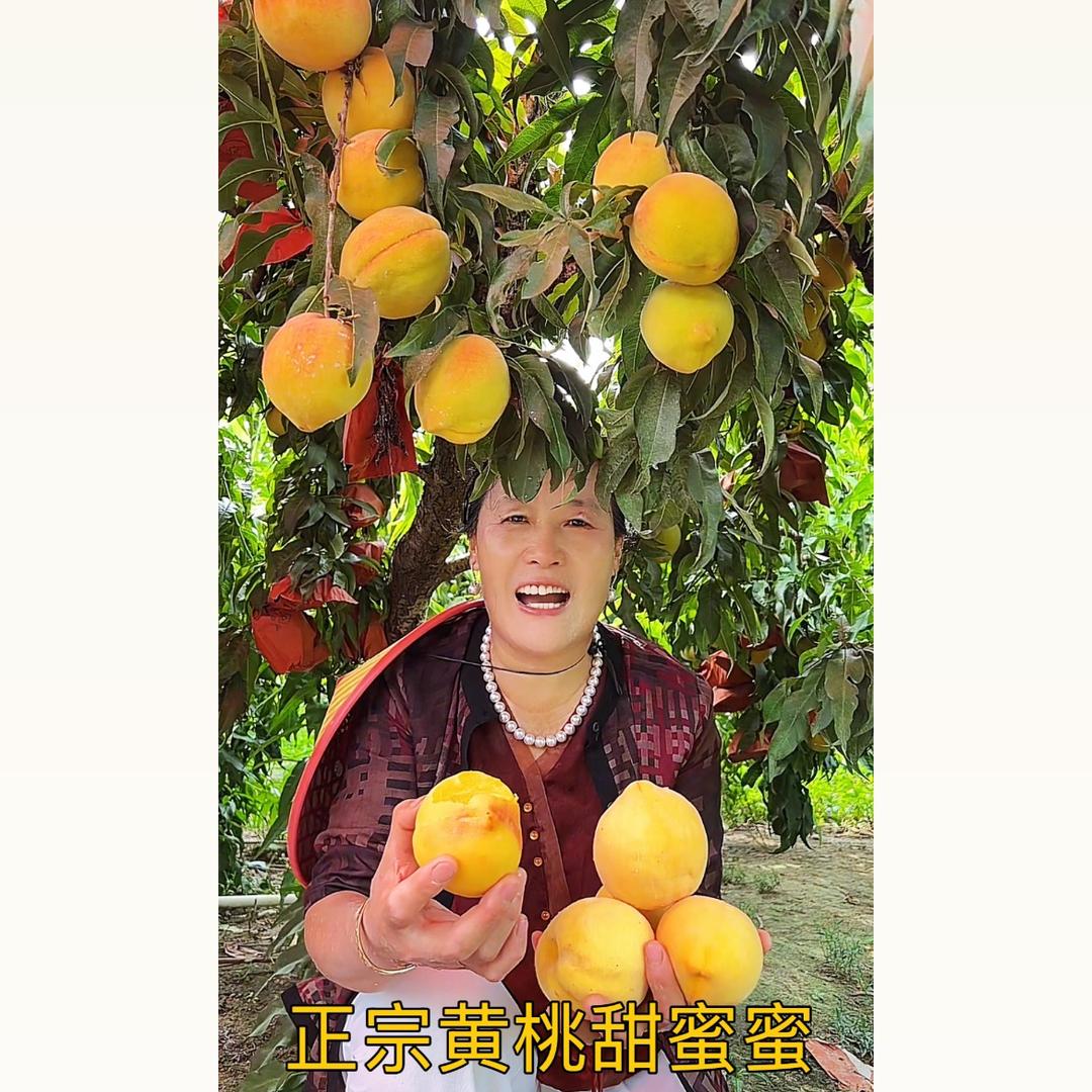 李侠农特产